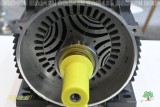 Blick in das Innere eines Elektromotors. Schnittmodell zeigt Wicklungen und Rotor.